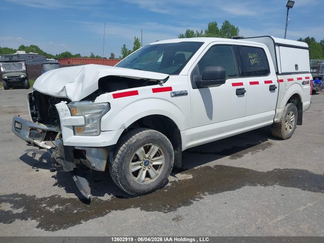 2015 Ford F150 Supercrew მანქანა იყიდება აუქციონზე, vin: 1FTEW1E81FFB85772, აუქციონის ნომერი: 12602919