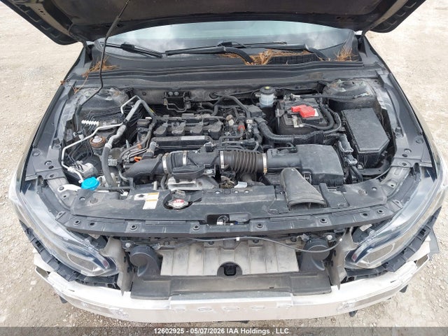 1HGCV1F32KA800559 Honda Accord Sport 1.5t