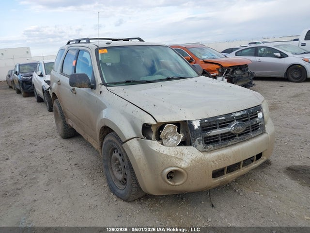Продаж на аукціоні авто 2010 Ford Escape Xlt, vin: 1FMCU0D77AKA50422, номер лоту: 12602936