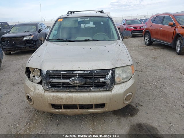 Продаж на аукціоні авто 2010 Ford Escape Xlt, vin: 1FMCU0D77AKA50422, номер лоту: 12602936