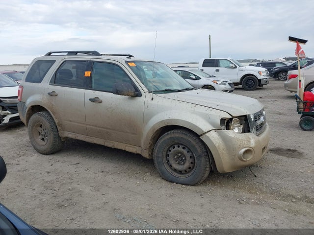 Продаж на аукціоні авто 2010 Ford Escape Xlt, vin: 1FMCU0D77AKA50422, номер лоту: 12602936