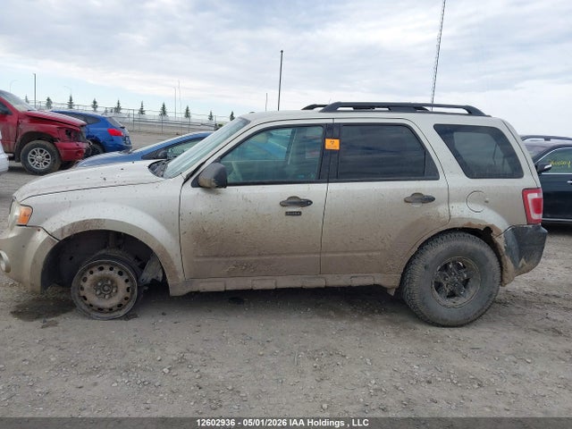 Продаж на аукціоні авто 2010 Ford Escape Xlt, vin: 1FMCU0D77AKA50422, номер лоту: 12602936