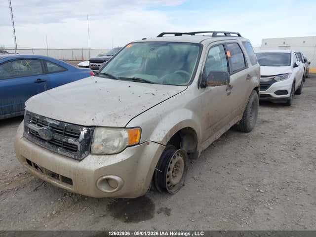 Продаж на аукціоні авто 2010 Ford Escape Xlt, vin: 1FMCU0D77AKA50422, номер лоту: 12602936