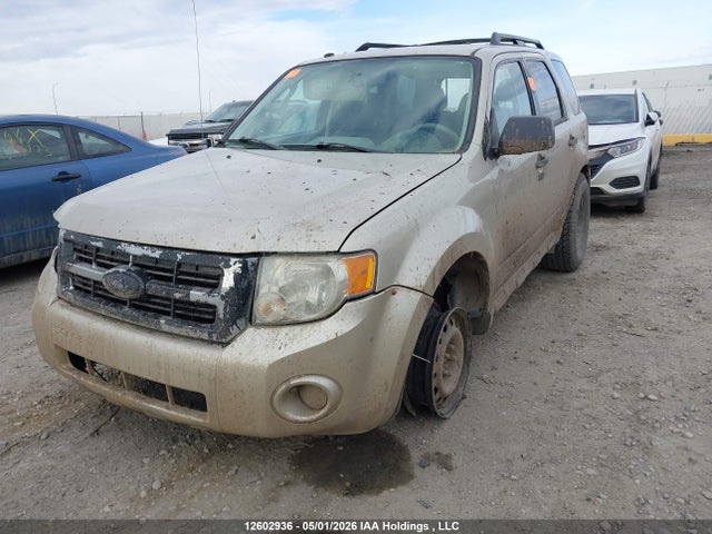 Продаж на аукціоні авто 2010 Ford Escape Xlt, vin: 1FMCU0D77AKA50422, номер лоту: 12602936