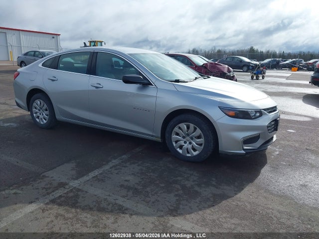1G1ZA5ST1GF251876 Chevrolet Malibu L