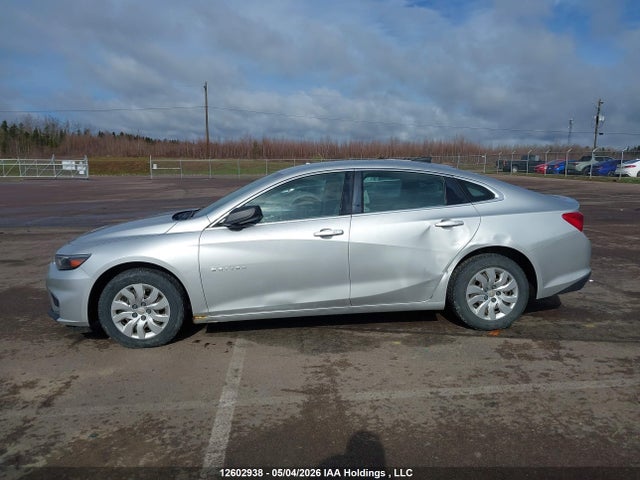 1G1ZA5ST1GF251876 Chevrolet Malibu L