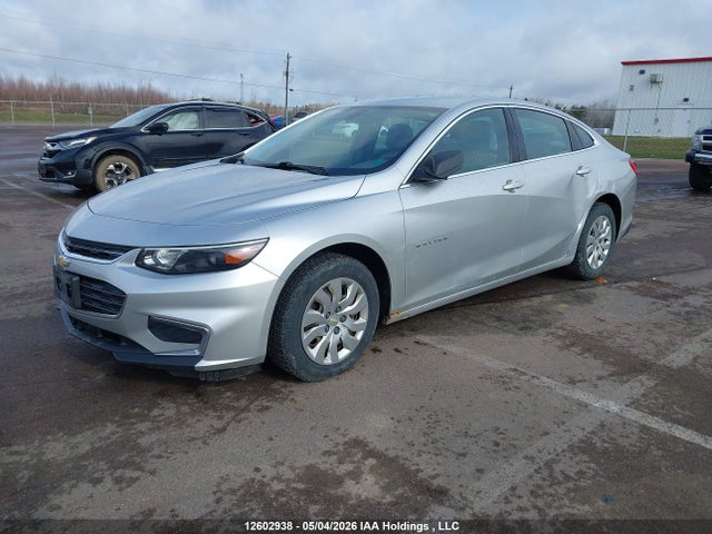 1G1ZA5ST1GF251876 Chevrolet Malibu L