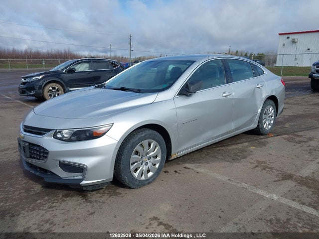 1G1ZA5ST1GF251876 Chevrolet Malibu L