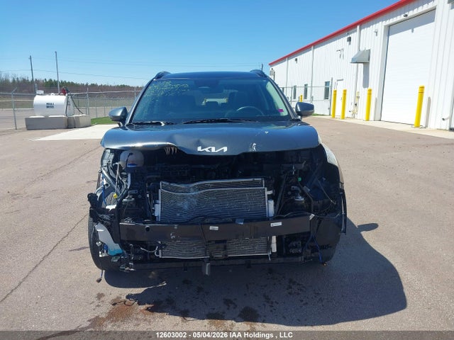 Aukcja sprzedaży 2024 Kia Sportage Ex, vin: KNDPVCDF4R7217572, numer aukcji: 12603002
