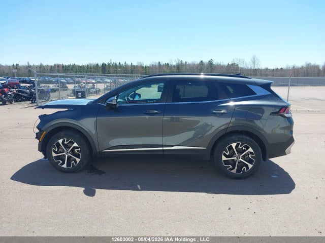 Aukcja sprzedaży 2024 Kia Sportage Ex, vin: KNDPVCDF4R7217572, numer aukcji: 12603002