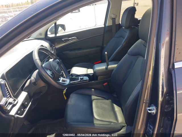 Aukcja sprzedaży 2024 Kia Sportage Ex, vin: KNDPVCDF4R7217572, numer aukcji: 12603002