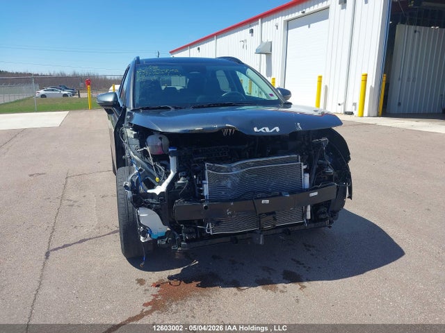 Aukcja sprzedaży 2024 Kia Sportage Ex, vin: KNDPVCDF4R7217572, numer aukcji: 12603002