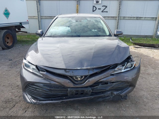 12603012 :رقم المزاد ، 4T1C11AK6LU350418 vin ، 2020 Toyota Camry Le مزاد بيع