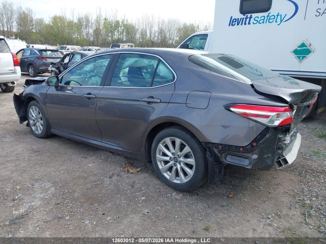 12603012 :رقم المزاد ، 4T1C11AK6LU350418 vin ، 2020 Toyota Camry Le مزاد بيع