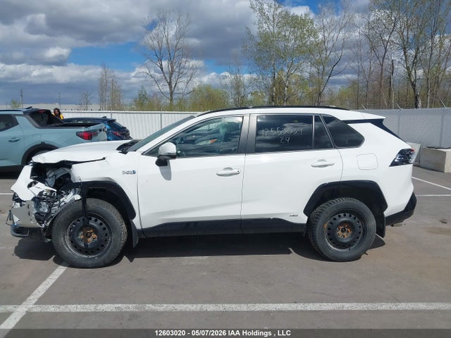 12603020 :رقم المزاد ، JTMGB3FV0RD213114 vin ، 2024 Toyota Rav4 مزاد بيع