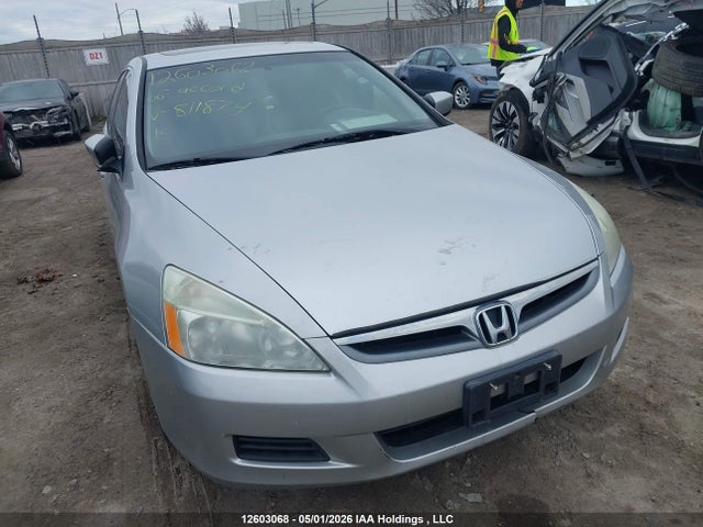 2006 Honda Accord Ex-l მანქანა იყიდება აუქციონზე, vin: 1HGCM56856A811874, აუქციონის ნომერი: 12603068