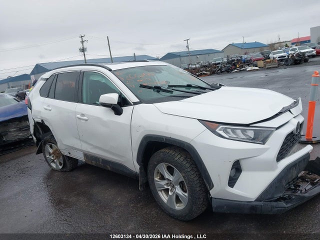 12603134 :رقم المزاد ، 2T3R1RFV6LC067487 vin ، 2020 Toyota Rav4 Xle مزاد بيع