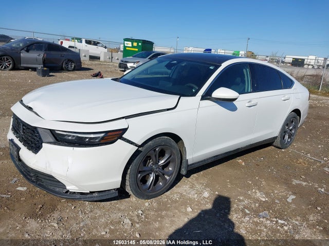 1HGCY1F31PA800213 Honda Accord