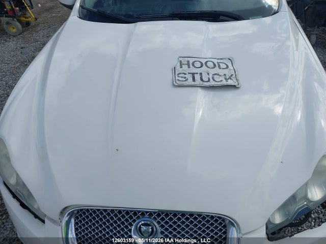 2009 Jaguar Xf Premium Luxury მანქანა იყიდება აუქციონზე, vin: SAJXA06B49HR30648, აუქციონის ნომერი: 12603159