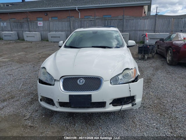 2009 Jaguar Xf Premium Luxury მანქანა იყიდება აუქციონზე, vin: SAJXA06B49HR30648, აუქციონის ნომერი: 12603159