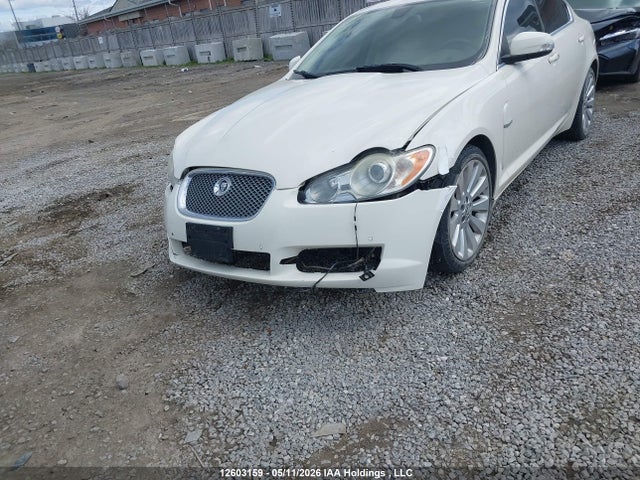 2009 Jaguar Xf Premium Luxury მანქანა იყიდება აუქციონზე, vin: SAJXA06B49HR30648, აუქციონის ნომერი: 12603159