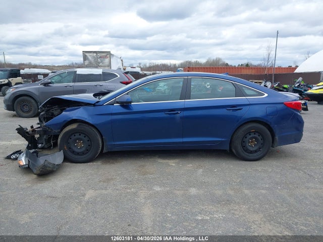 5NPE24AF6GH388133 Hyundai SONATA GL