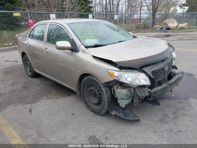 12603185 :رقم المزاد ، 2T1BU40E19C040638 vin ، 2009 Toyota Corolla S/le/xle مزاد بيع