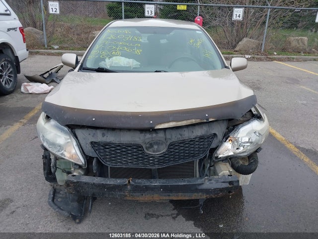12603185 :رقم المزاد ، 2T1BU40E19C040638 vin ، 2009 Toyota Corolla S/le/xle مزاد بيع