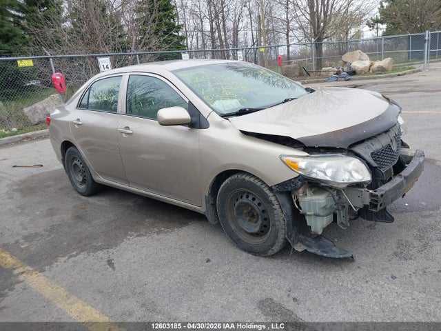 12603185 :رقم المزاد ، 2T1BU40E19C040638 vin ، 2009 Toyota Corolla S/le/xle مزاد بيع
