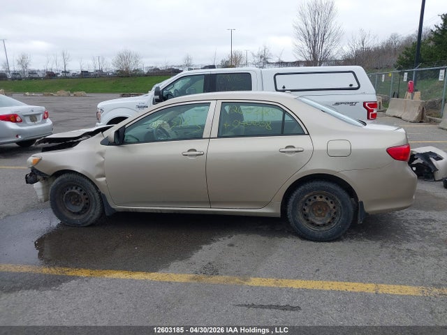 12603185 :رقم المزاد ، 2T1BU40E19C040638 vin ، 2009 Toyota Corolla S/le/xle مزاد بيع