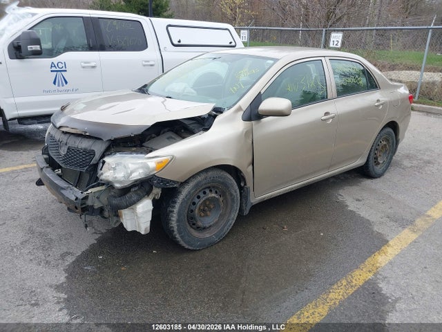 12603185 :رقم المزاد ، 2T1BU40E19C040638 vin ، 2009 Toyota Corolla S/le/xle مزاد بيع
