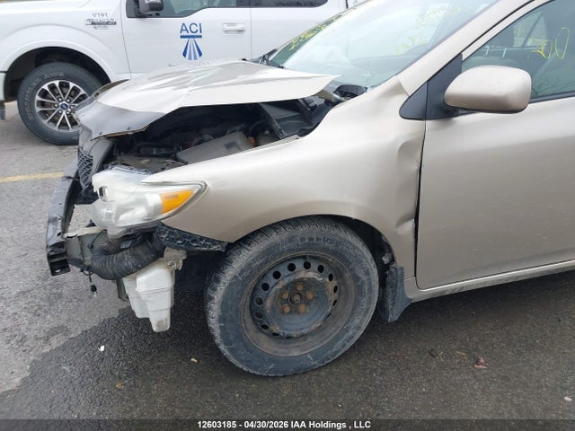 12603185 :رقم المزاد ، 2T1BU40E19C040638 vin ، 2009 Toyota Corolla S/le/xle مزاد بيع