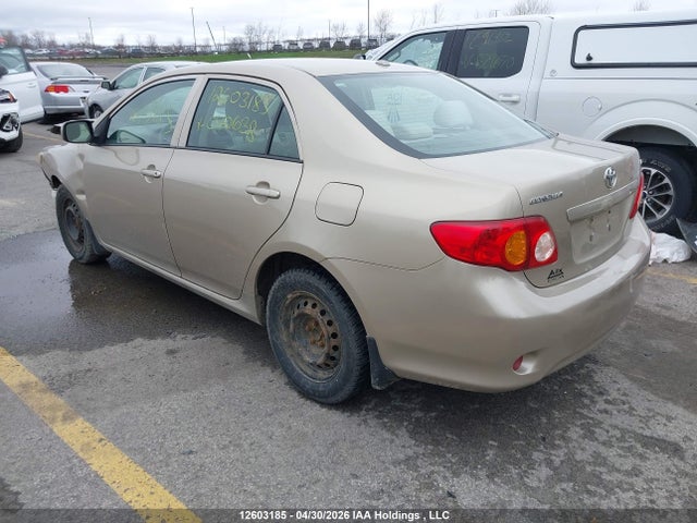 12603185 :رقم المزاد ، 2T1BU40E19C040638 vin ، 2009 Toyota Corolla S/le/xle مزاد بيع