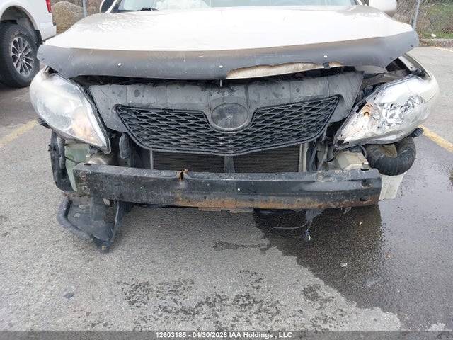 12603185 :رقم المزاد ، 2T1BU40E19C040638 vin ، 2009 Toyota Corolla S/le/xle مزاد بيع
