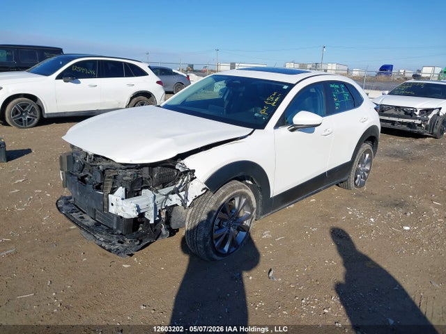 12603202 :رقم المزاد ، 3MVDMBCM4RM619290 vin ، 2024 Mazda Cx-30 Preferred مزاد بيع