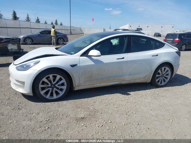 Aukcja sprzedaży 2021 Tesla Model 3, vin: 5YJ3E1EB1MF062500, numer aukcji: 12603208