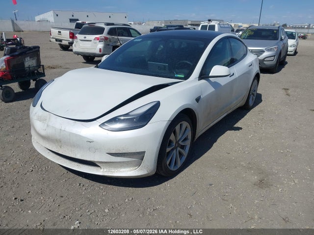 Aukcja sprzedaży 2021 Tesla Model 3, vin: 5YJ3E1EB1MF062500, numer aukcji: 12603208