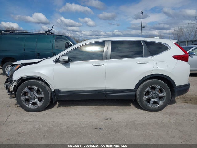 2HKRW2H85KH118384 Honda Cr-v Ex-l