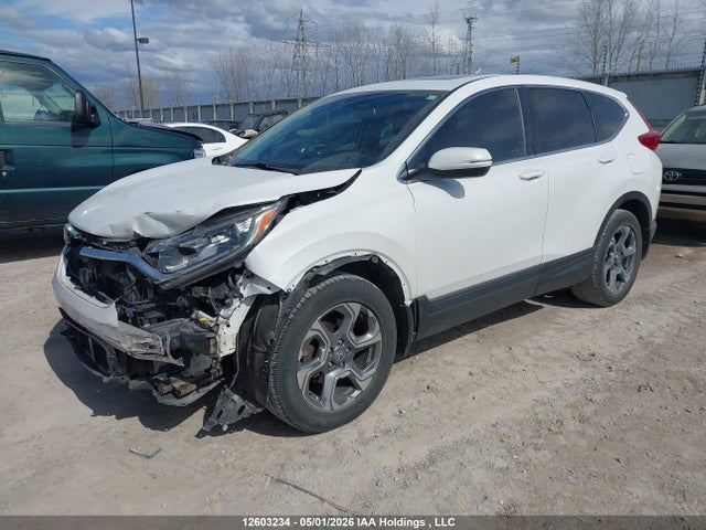 2HKRW2H85KH118384 Honda Cr-v Ex-l