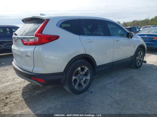 2HKRW2H85KH118384 Honda Cr-v Ex-l