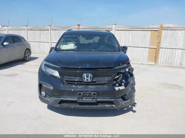 Продаж на аукціоні авто 2020 Honda Pilot, vin: 5FNYF6H07LB502910, номер лоту: 12603243