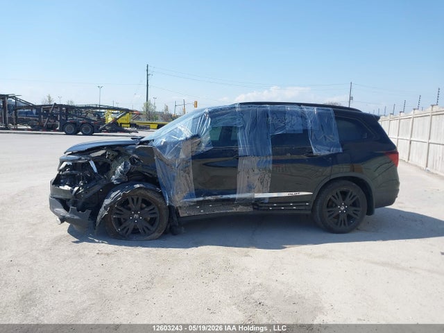 Продаж на аукціоні авто 2020 Honda Pilot, vin: 5FNYF6H07LB502910, номер лоту: 12603243