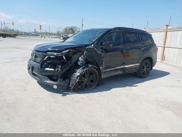 Продаж на аукціоні авто 2020 Honda Pilot, vin: 5FNYF6H07LB502910, номер лоту: 12603243