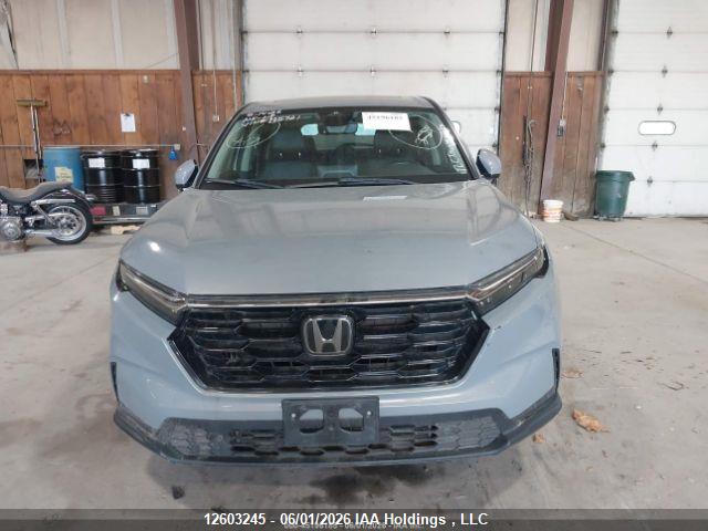 2023 Honda Cr-v Exl მანქანა იყიდება აუქციონზე, vin: 2HKRS4H77PH115721, აუქციონის ნომერი: 12603245