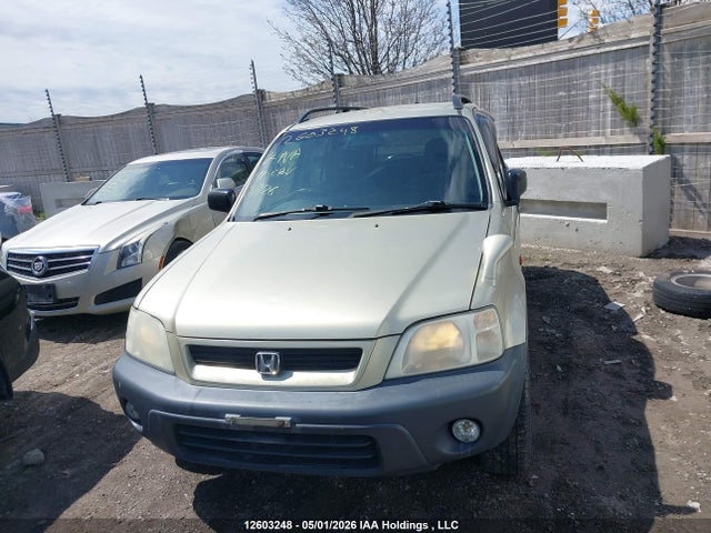 Продаж на аукціоні авто 1999 Honda Cr-v, vin: RD15207248, номер лоту: 12603248