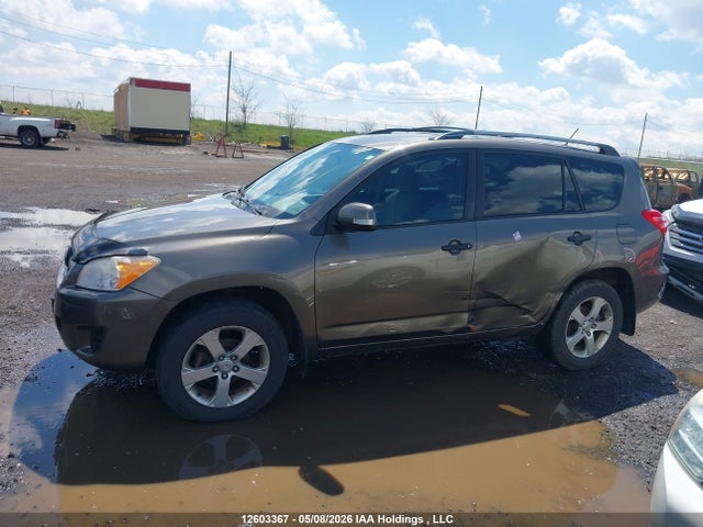 12603367 :رقم المزاد ، 2T3BF4DV2AW031252 vin ، 2010 Toyota Rav4 مزاد بيع