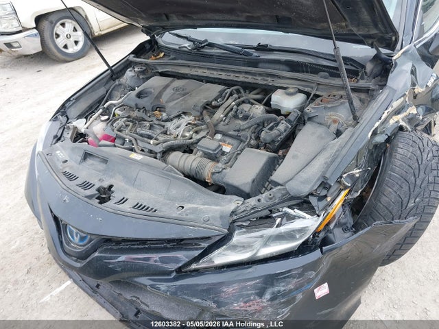 4T1B31HK5KU006766 Toyota Camry
