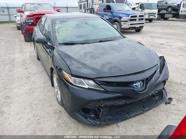 4T1B31HK5KU006766 Toyota Camry