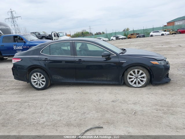 4T1B31HK5KU006766 Toyota Camry