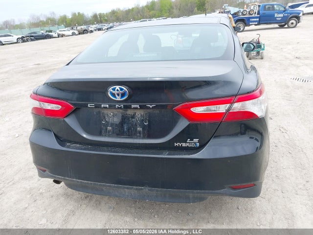 4T1B31HK5KU006766 Toyota Camry